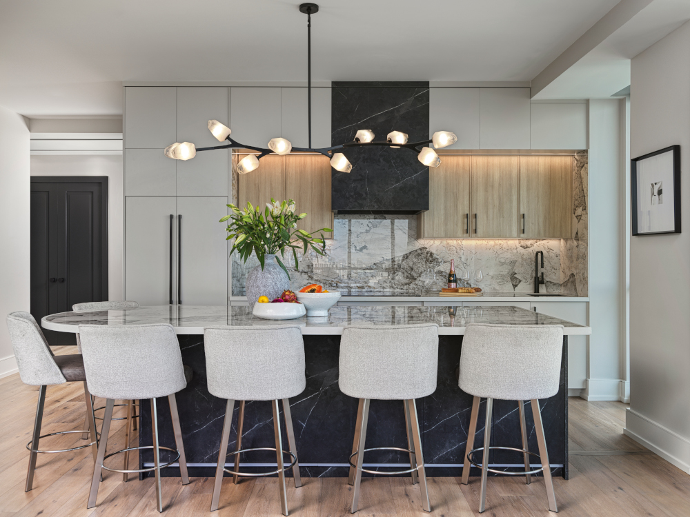 Contemporary Kitchen Upgrade
